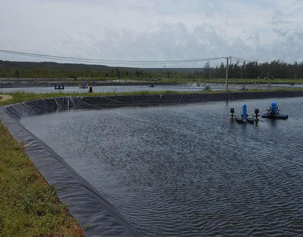 魚(yú)塘專用防滲膜